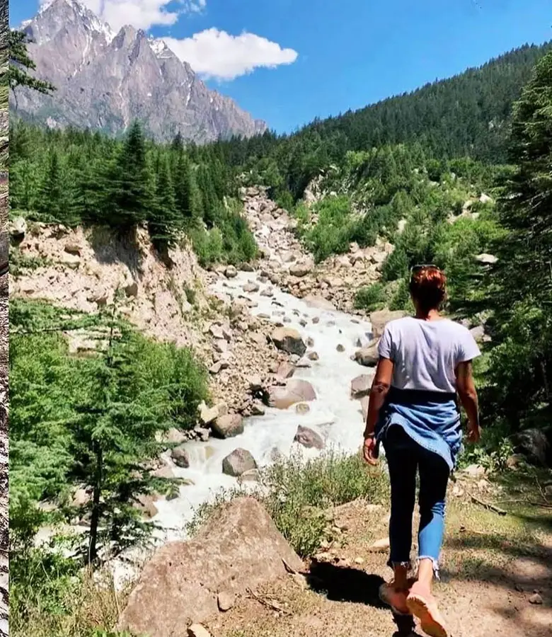 Guest hiking on a trail overlooking Baspa River, fir trees, and snow-clad peaks at Hotel Batseri, Sangla, Kinnaur.