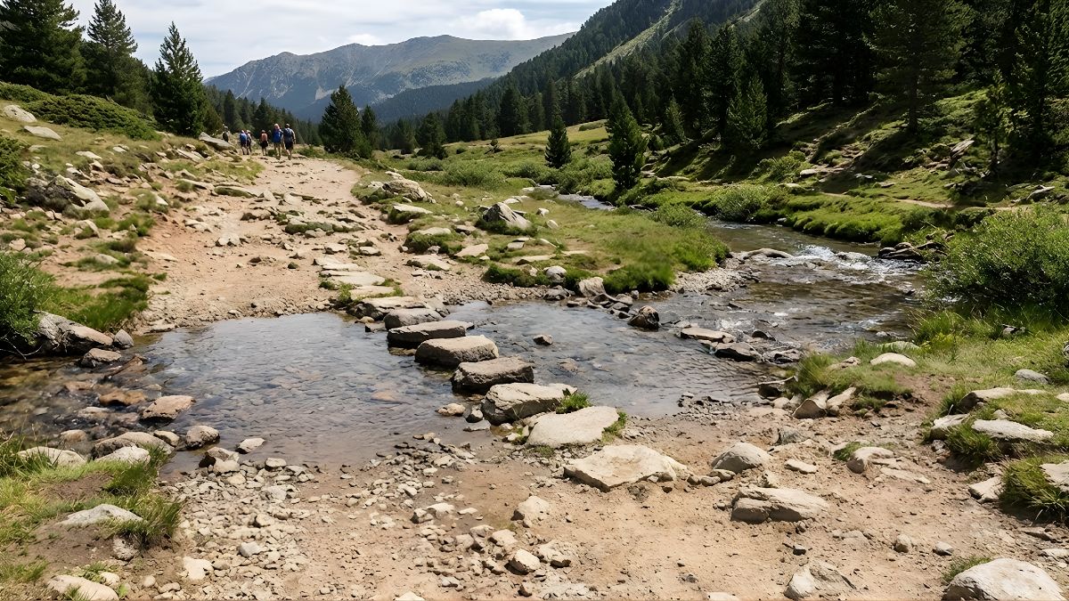 Safety Precautions & Risk Management